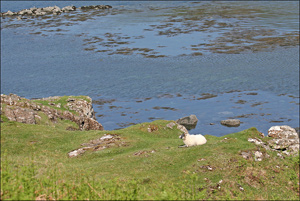 paysage