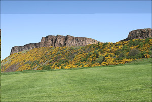 colline